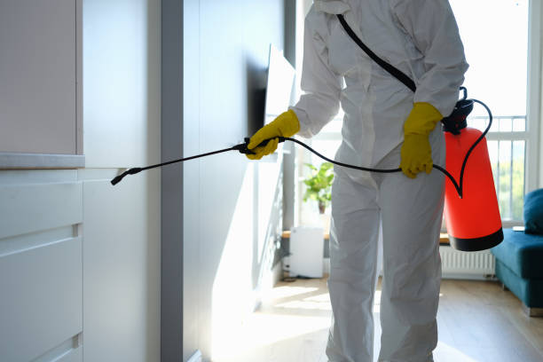 Best Mold Damage Repair  in Oberlin, LA