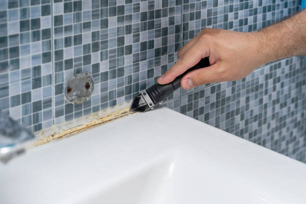 Best Professional Mold Removal  in Oberlin, LA